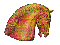 view many illustrations from the book